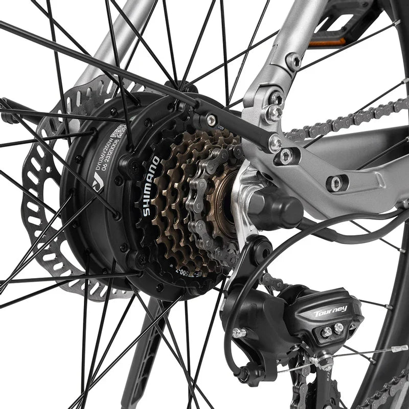 DYU pastaiga 1 elektriskais velosipēds 250 W 100 km DYU pastaiga 1 elektriskais velosipēds 250 W 100 km